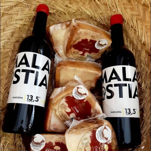 Vinos y cervezas artesanas de Jaén